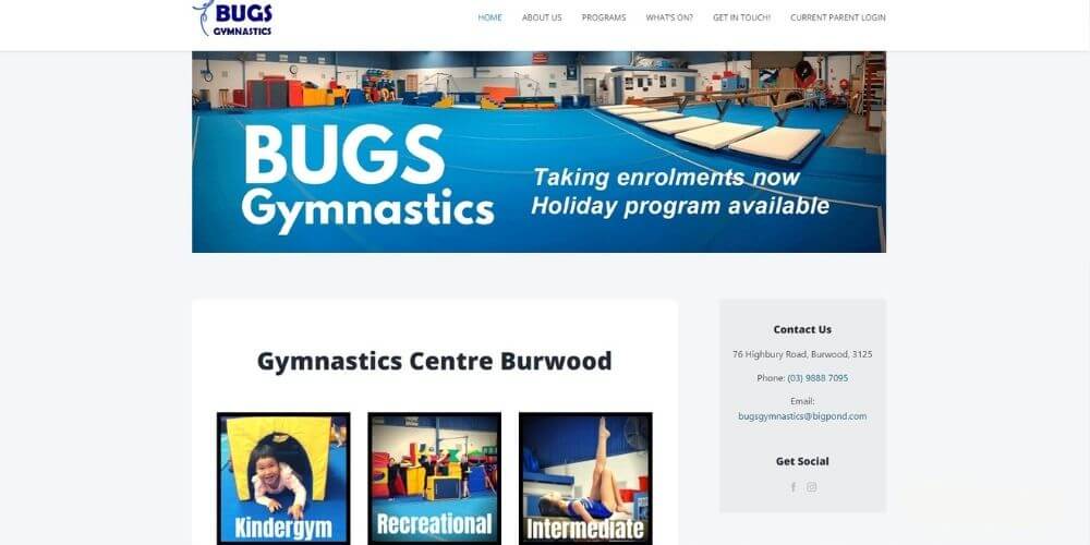 Bugs Gymnastics